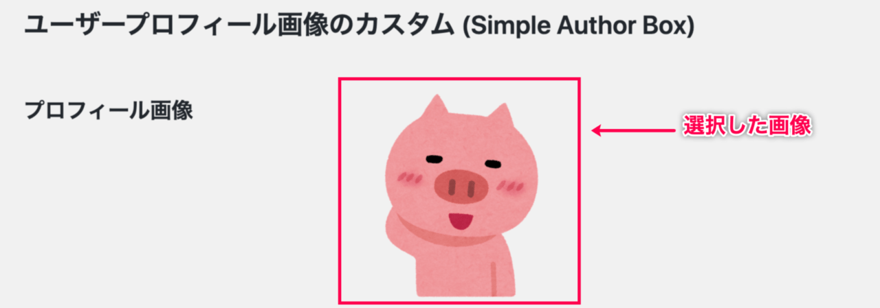 Simple Author Box_15プロフィール画像