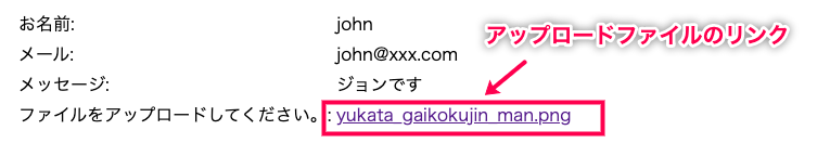 ninja-forms-uploads_サイド＞Ninja Forms＞受信メール内アップロードファイルリンク