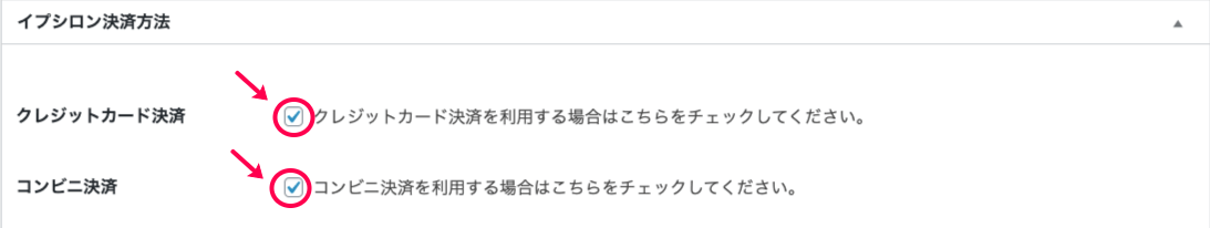 イプシロン_サイド＞イプシロン設定＞決済設定＞チェック入力