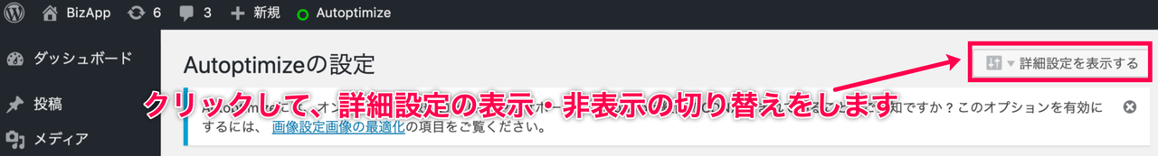 Autoptimize_3詳細設定ボタン