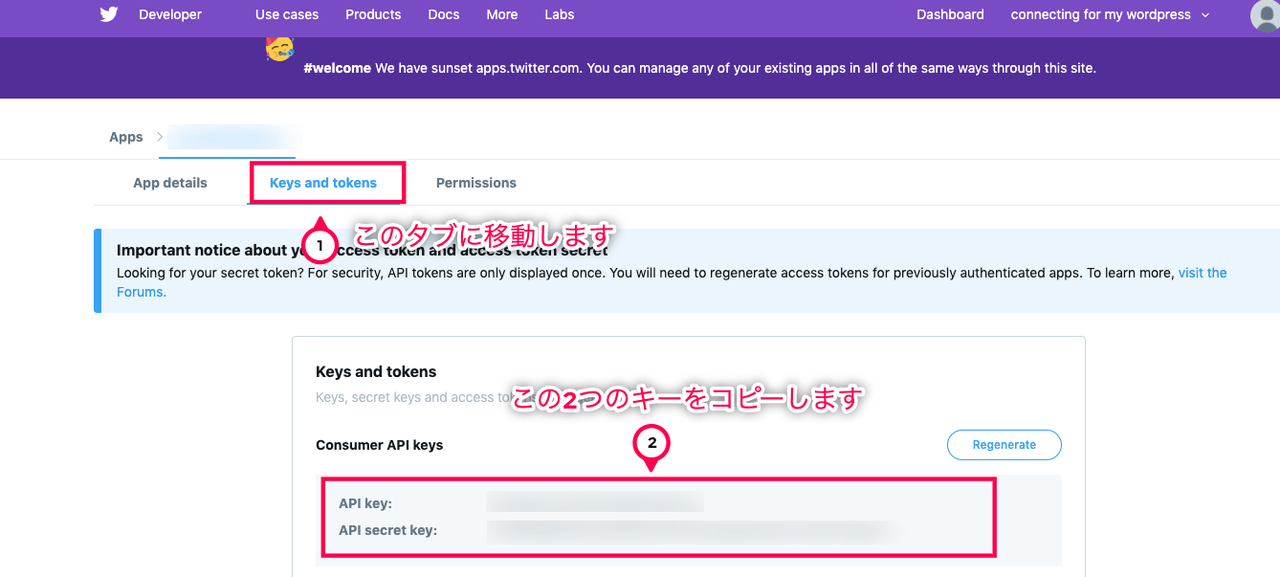 AnyComment 日本語化パッチ APIキーを取得