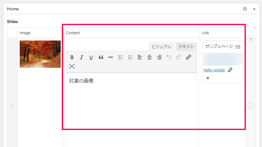 advanced-custom-fields-pro-16