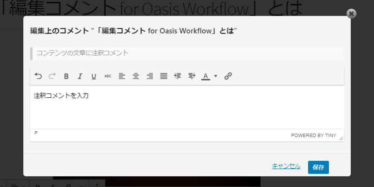 編集コメント for Oasis Workflow 使い方（2 編集コメントを入れる）